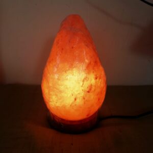 Big Egg Salt Lamp