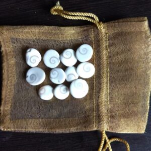 GOMTI CHAKRAS (Set of 11)
