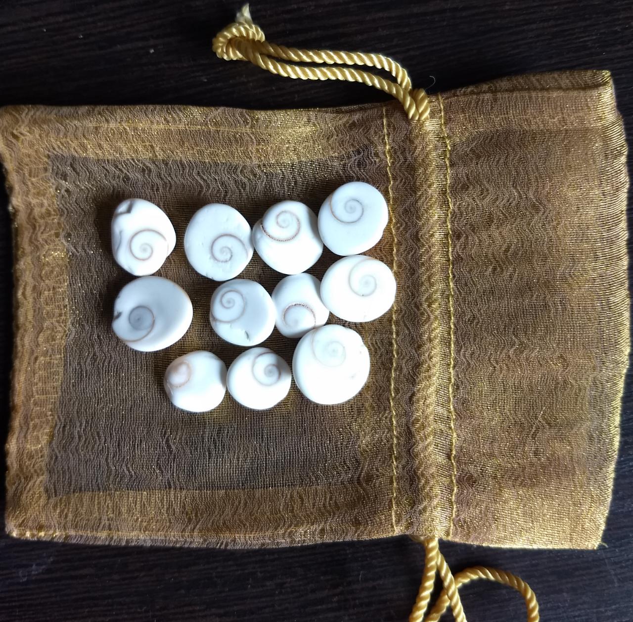 GOMTI CHAKRAS (Set of 11)