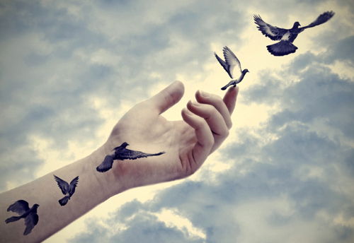 let go prorame